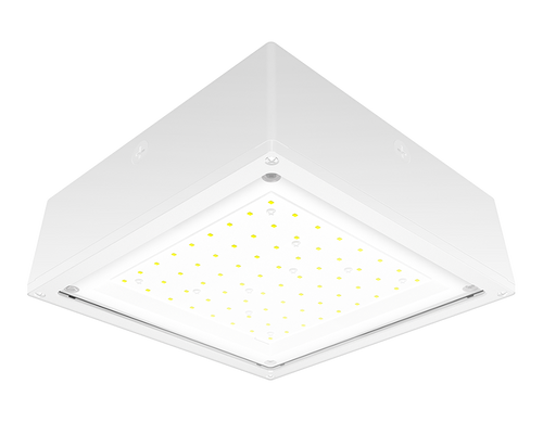 VANLED65FW/480 | RAB | LightingAndSupplies.com