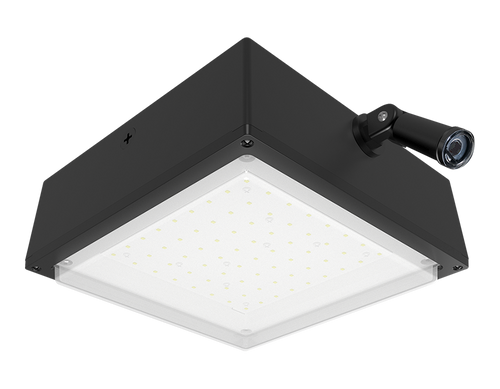 VANLED65YFR/480/PCS4 | RAB | LightingAndSupplies.com