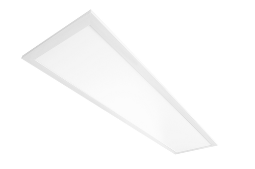 EZPANHE1X4-12/D10 | RAB | LightingAndSupplies.com