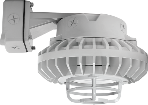 HAZBLED80CF-DG/480 | RAB | LightingAndSupplies.com