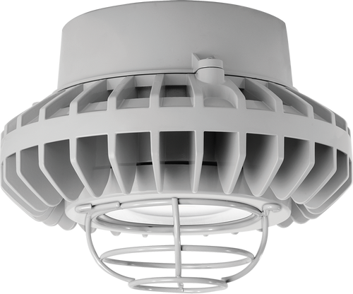 HAZPLED26CF-G | RAB | LightingAndSupplies.com