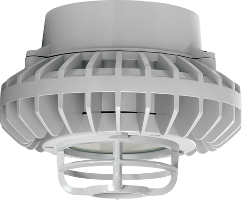 HAZPLED26FF-DG | RAB | LightingAndSupplies.com