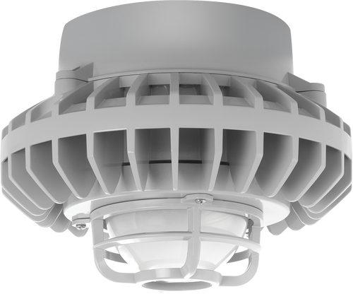 HAZPLED80F-DG/D10 | RAB | LightingAndSupplies.com