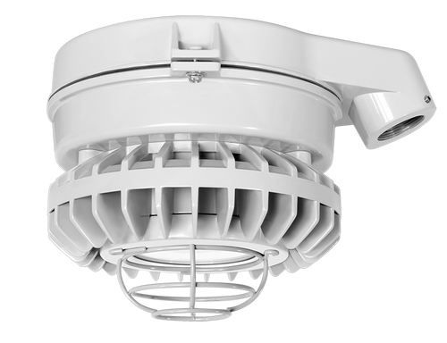 HAZSLED26CF-G | RAB | LightingAndSupplies.com