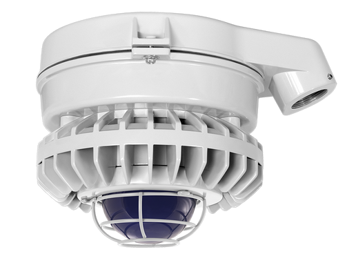 HAZSLED26FB-G | RAB | LightingAndSupplies.com