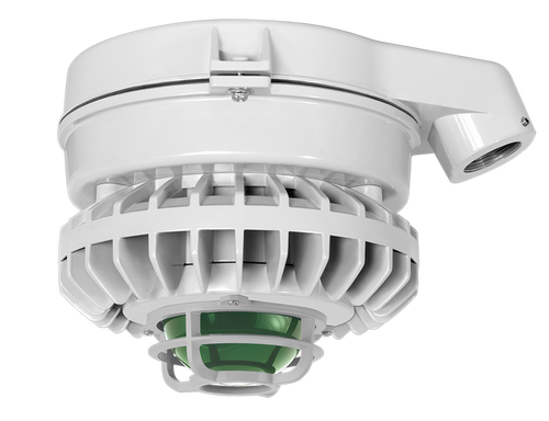 HAZSLED26FG-DG | RAB | LightingAndSupplies.com