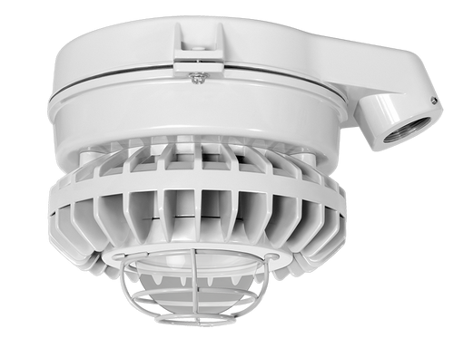 HAZSLED80C-G/480 | RAB | LightingAndSupplies.com