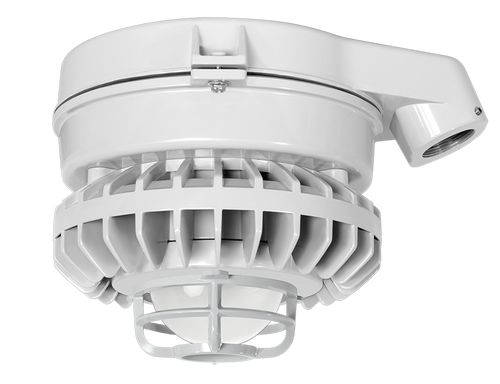 HAZSLED80F-DG | RAB | LightingAndSupplies.com