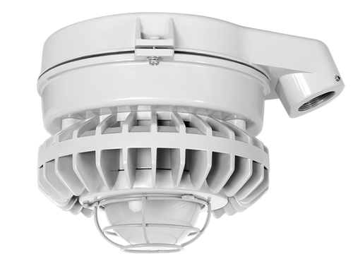 HAZSLED80F-G/D10 | RAB | LightingAndSupplies.com