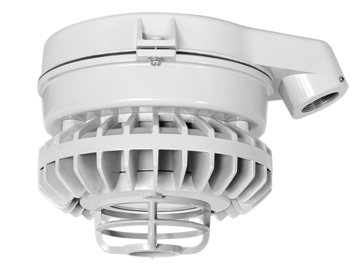 HAZSLED80FF-DG/480 | RAB | LightingAndSupplies.com