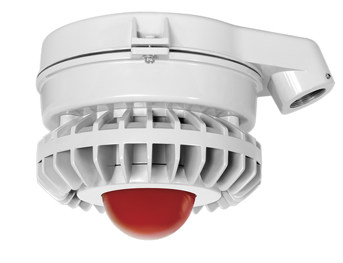 HAZSLED80FR | RAB | LightingAndSupplies.com