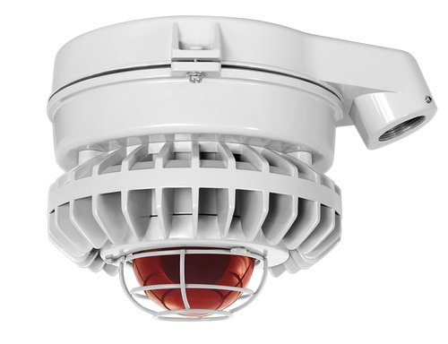 HAZSLED80FR-G | RAB | LightingAndSupplies.com