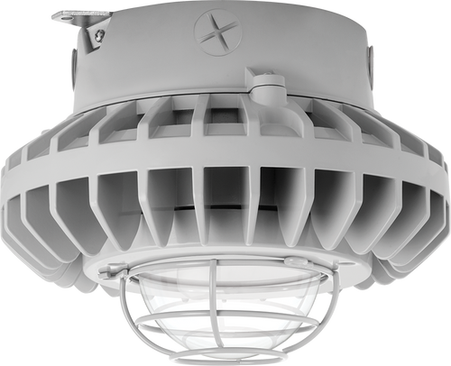 HAZXLED42C-G | RAB | LightingAndSupplies.com