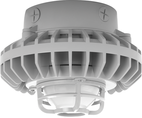 HAZXLED42F-DG | RAB | LightingAndSupplies.com