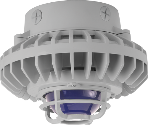 HAZXLED80FB-DG | RAB | LightingAndSupplies.com