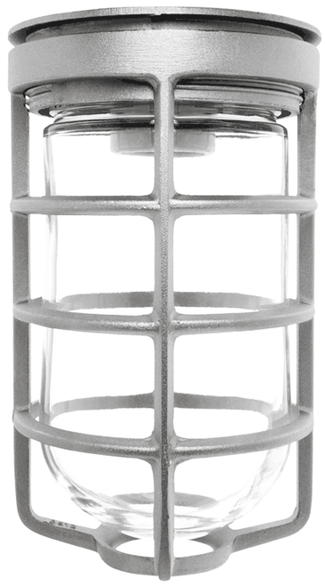 VC100DG | RAB | LightingAndSupplies.com