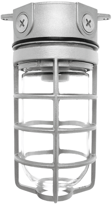 VX100DG | RAB | LightingAndSupplies.com