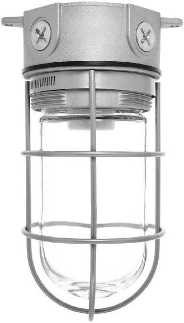 VX100G | RAB | LightingAndSupplies.com