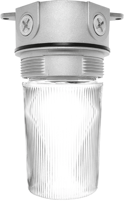 VX100P-3/4 | RAB | LightingAndSupplies.com