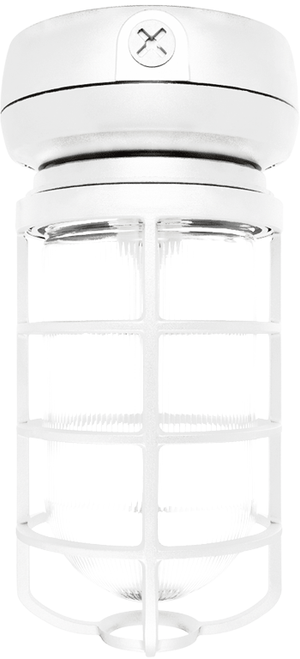 VX2F42W-3/4 | RAB | LightingAndSupplies.com