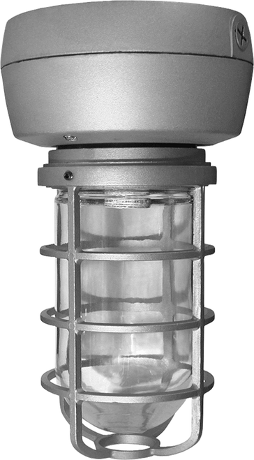 VX2SN50 | RAB | LightingAndSupplies.com