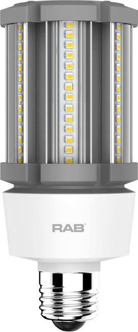 HID-18-E26-850-BYP-PT | RAB | LightingAndSupplies.com