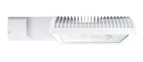 RAB Lighting RWLED2T78NW/D10 Roadway Type II 78W w/ Rw Adaptor Neutral LED Dim Wh, 4000K Neutral, 100000 Hour Life, RWLED2T78NW/D10 or RAB