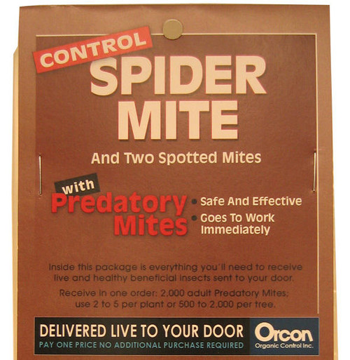 Hydrofarm ORMI Predatory Mites Mail-Back, pack of 5 ORMI or Orcon