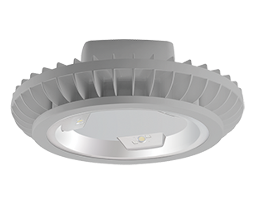 RAB Lighting HAZBLED26FA-G HazLED 26W Cool LED Wall Brkt Amber Frosted Globe Wire Guard