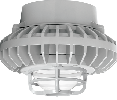 RAB Lighting HAZPLED42FR-DG HazLED 42W Cool LED Pendant Red Frosted Globe Die Cast Gd