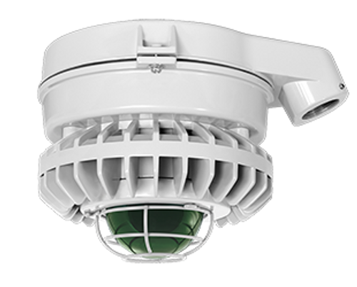 RAB Lighting HAZXLED42FB-G HazLED 42W Cool LED Ceiling Blue Frosted Globe Wire Guard