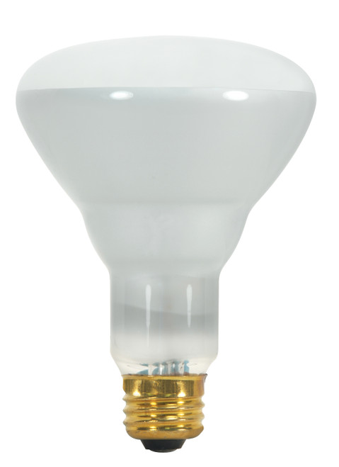 Satco S8520 65BR30/FL Incandescent Reflector Bulb