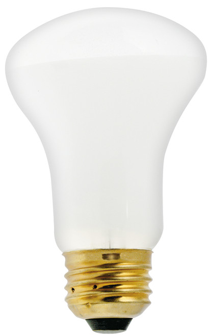 Satco S4976 40K19/2PK Incandescent General Service Bulb