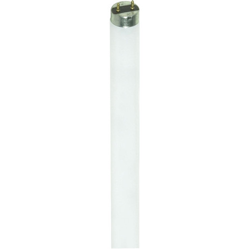 Satco S6619 F32T8/741/ENV Fluorescent T8 Linear Bulb