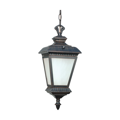 Nuvo 60/2524 Charter ES; 2 Light; Hanging Lantern with White Water Glass; Lamp Included