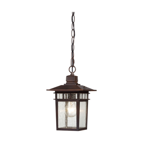 Nuvo 60/4955 Cove Neck; 1 Light; 12 in.; Outdoor Hang with Clear Seed Glass