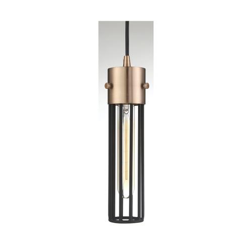 Nuvo 60/6612 Eaves; 1 Light; Pendant Fixture; Copper Brushed Brass Finish with Matte Black Cage