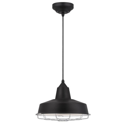 Westinghouse 6401000 Academy LED Indoor Pendant
Black Finish with Removeable Chrome Cage