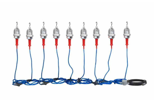 Larson Electronics Explosion Proof LED String Lights - 9 Lights - C1D1&2 and C2D1&2 - 60' Input Whip