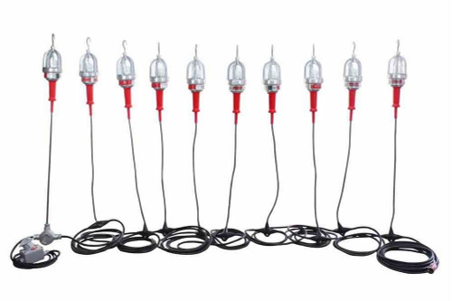 Larson Electronics *RENTAL* Explosion Proof LED String Lights - 10 lights - Daisy Chain End-2-End Connection - 100ft