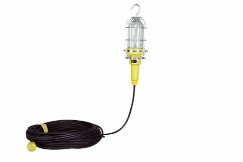Larson Electronics 10 Watt Food Safe LED Drop Light w/ Lexan Globe - 50' Cord - Stainless Steel Guard