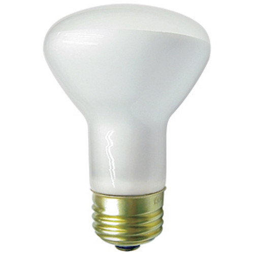 Lighting and Supplies LS-80361 30R20/Flood-