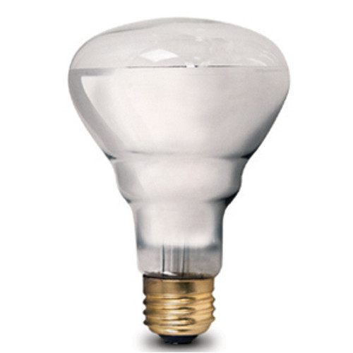 Lighting and Supplies LS-8-752 Lighting and Supplies LS-8-752 75BR25/Basking Pet Incandescent