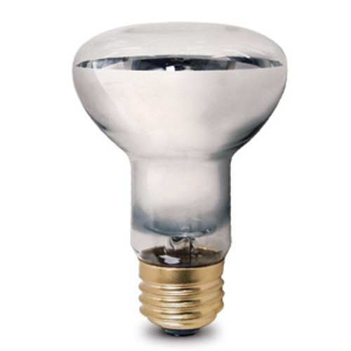 Lighting and Supplies LS-80-749 Lighting and Supplies LS-80-749 25R20/Basking Pet Incandescent