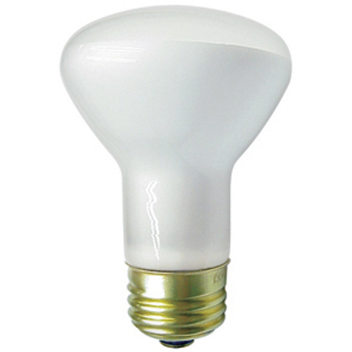 Lighting and Supplies LS-80-361 Lighting and Supplies LS-80-361 30R20/Flood- Incandescent