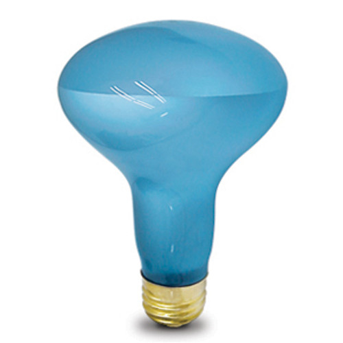 Lighting and Supplies LS-80-973 Lighting and Supplies LS-80-973 100R25/Neodymium Pet Incandescent