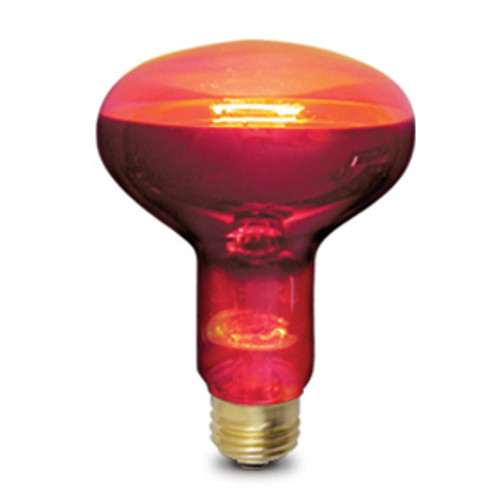Lighting and Supplies LS-80-664 Lighting and Supplies LS-80-664 75R25/Trans Red Pet Incandescent