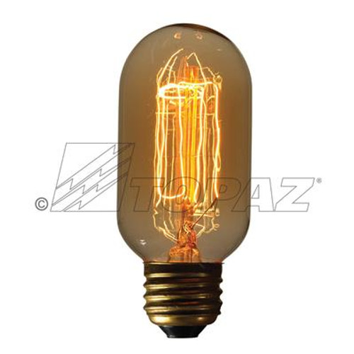 Topaz Lighting HS-HUDSON 40W T14 Antique Vertical Filament, E26 Base