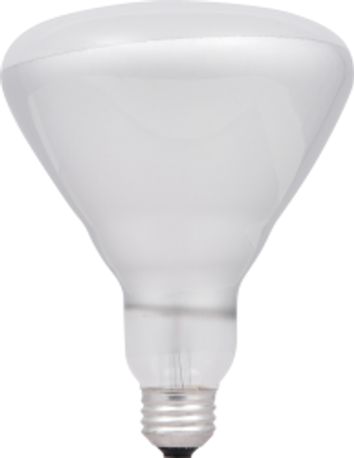 Sylvania 14779 300BRFL120V 24/CS 1/SKU 1.6.ZV107