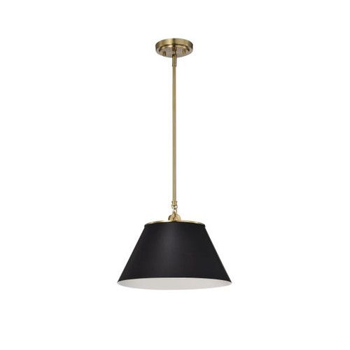 Satco 60-7411 Dover; 1 Light; Medium Pendant; Black with Vintage Brass